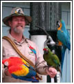 learn more about parrots